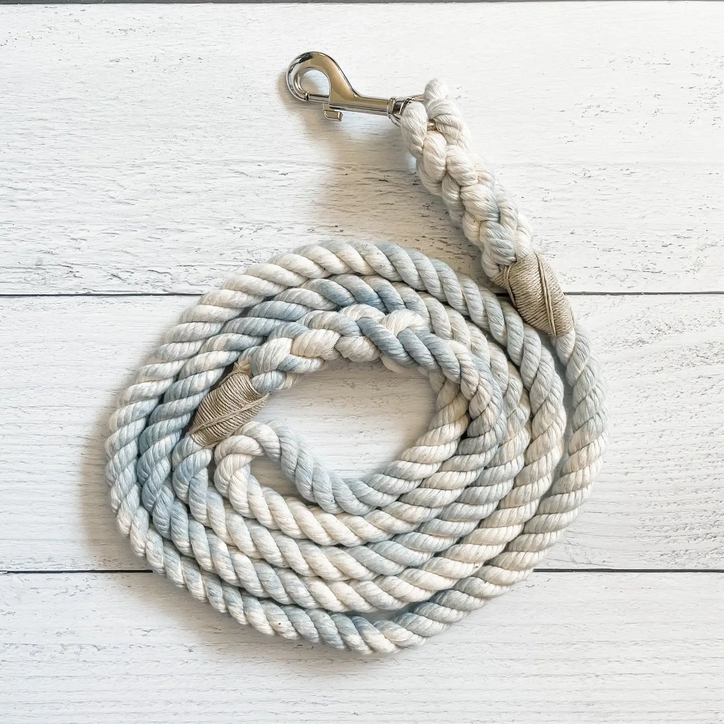 5 Ft. Silver Leash