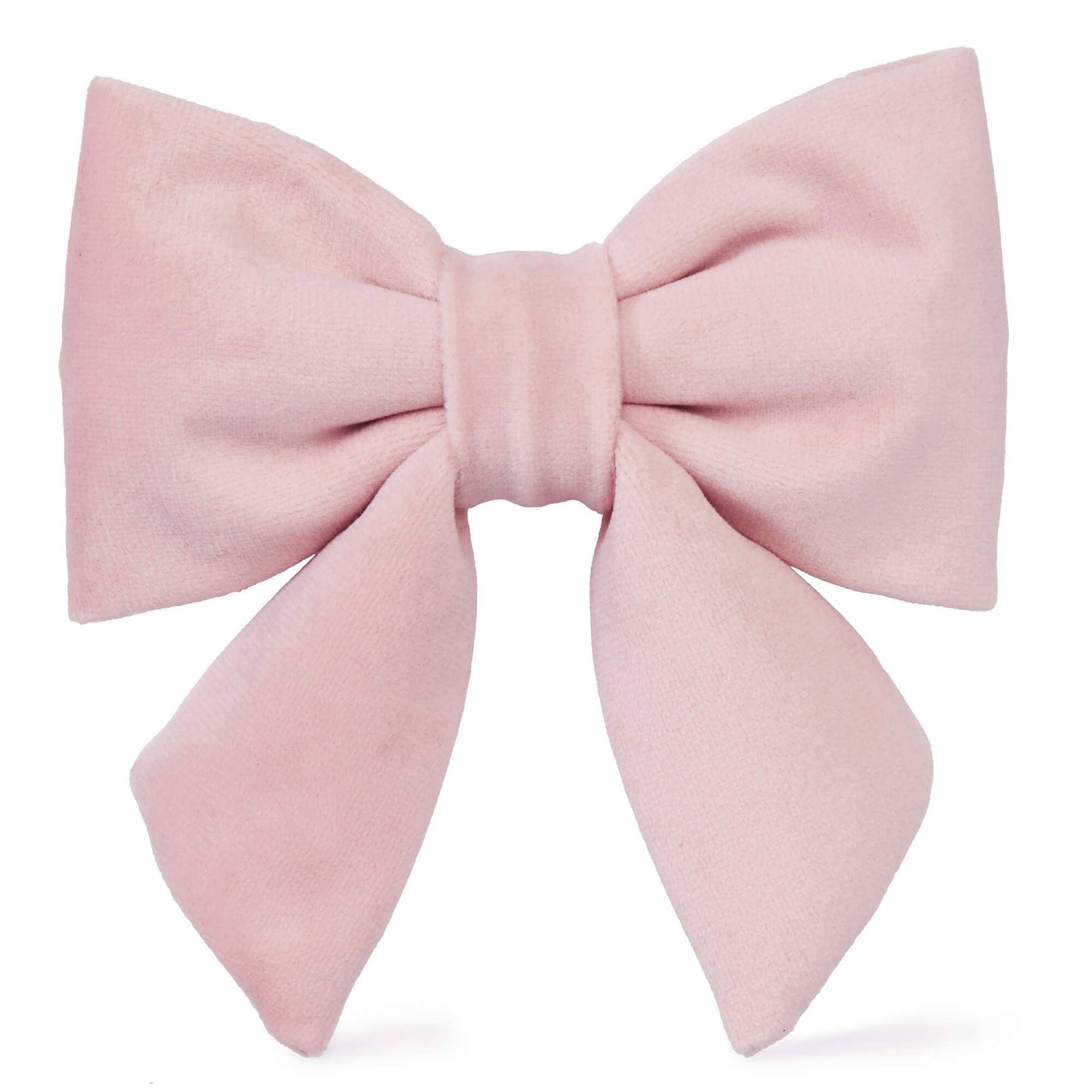 Blush Pink Velvet Lady Dog Bow