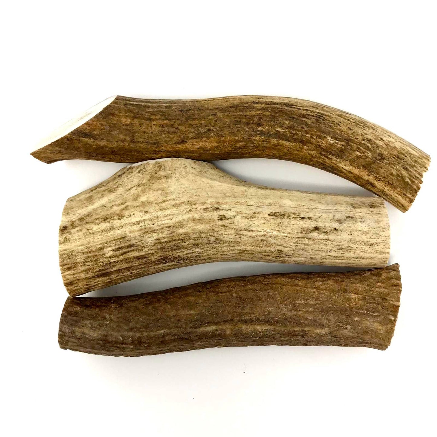 Elk Antlers
