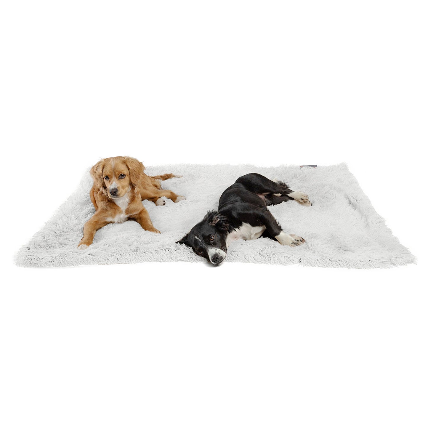 Best Friends by Sheri Blanket Shag Frost 40x50