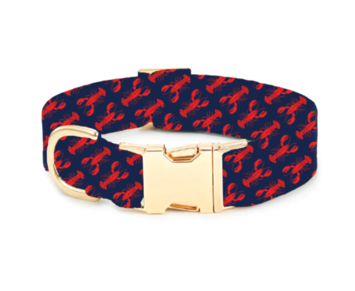 Catch of the Day Navy Dog Collar