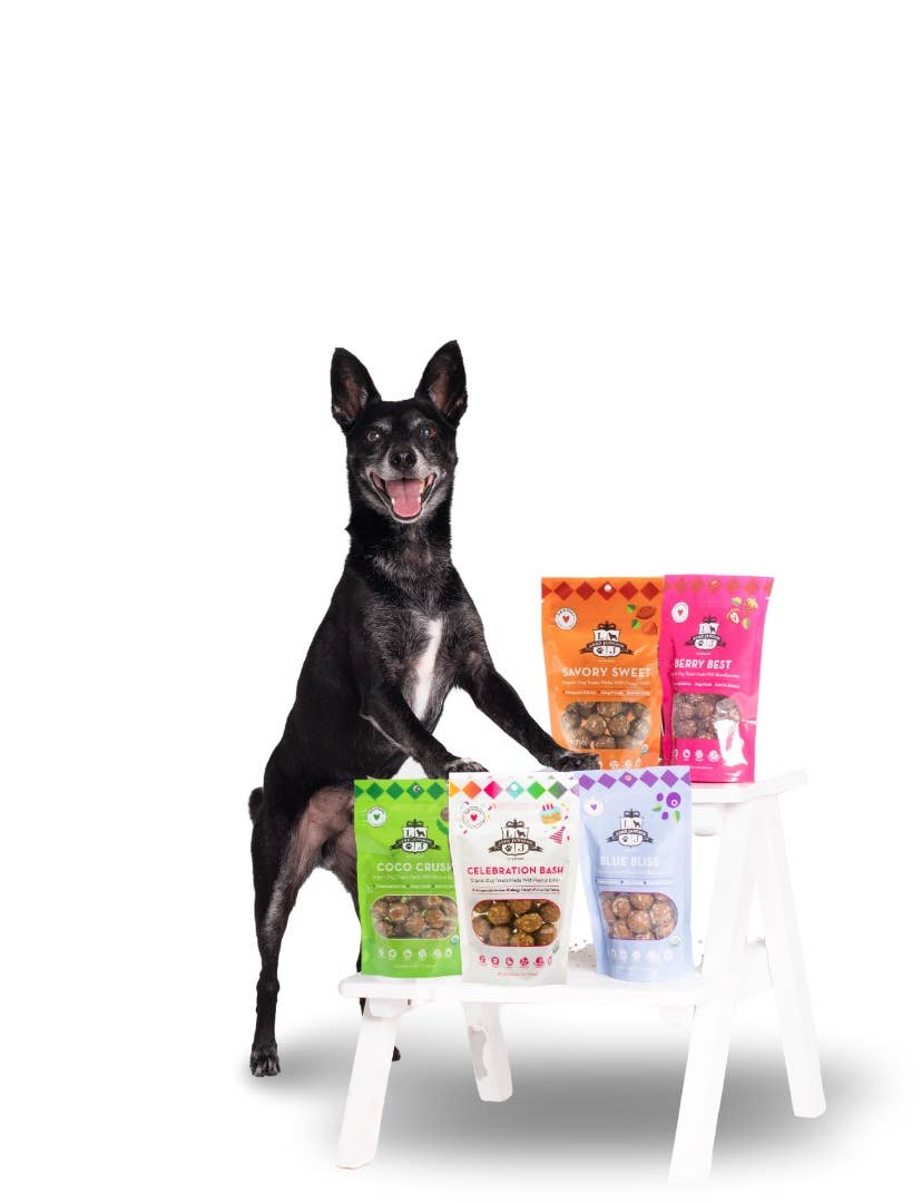 Lord Jameson Berry Best Organic Soft & Chewy Dog Treats 6oz