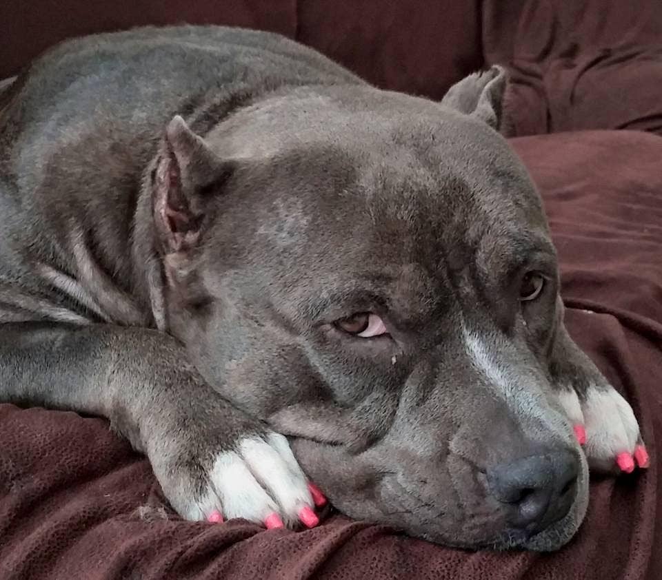 Nail Polish Pens - Basic Colors