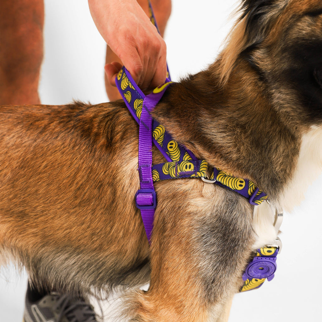 Zmiley | SofterWalk Harness: Large