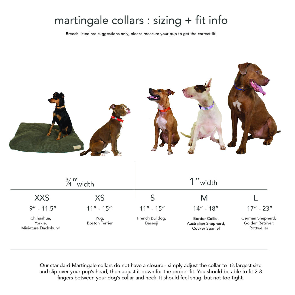 Martingale Collar / Forest + Olive: Small