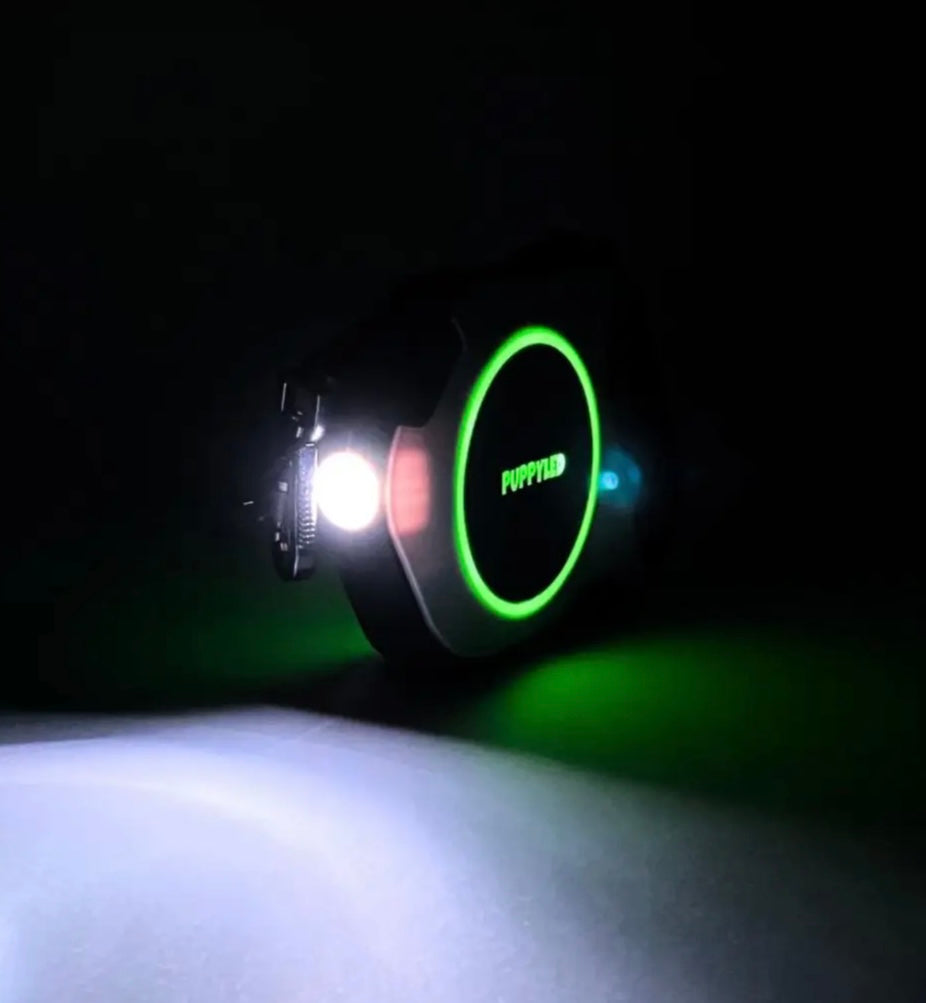 LED Retractable Dog Leash