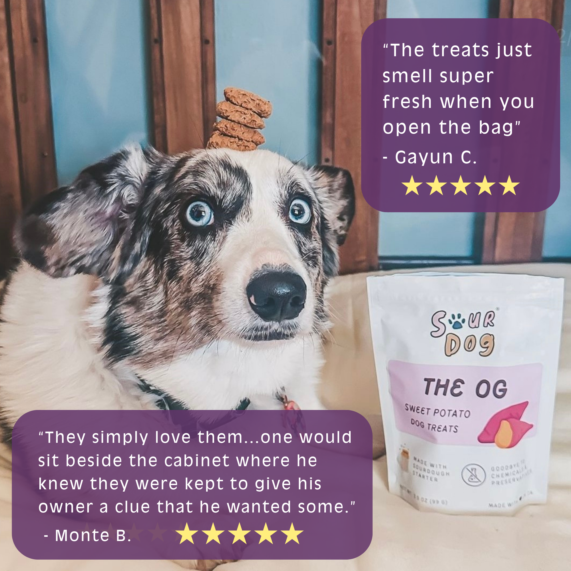 The OG - Sweet Potato Sourdough Dog Treats