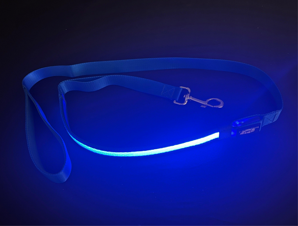 Light Up LED Dog Leash: Blue