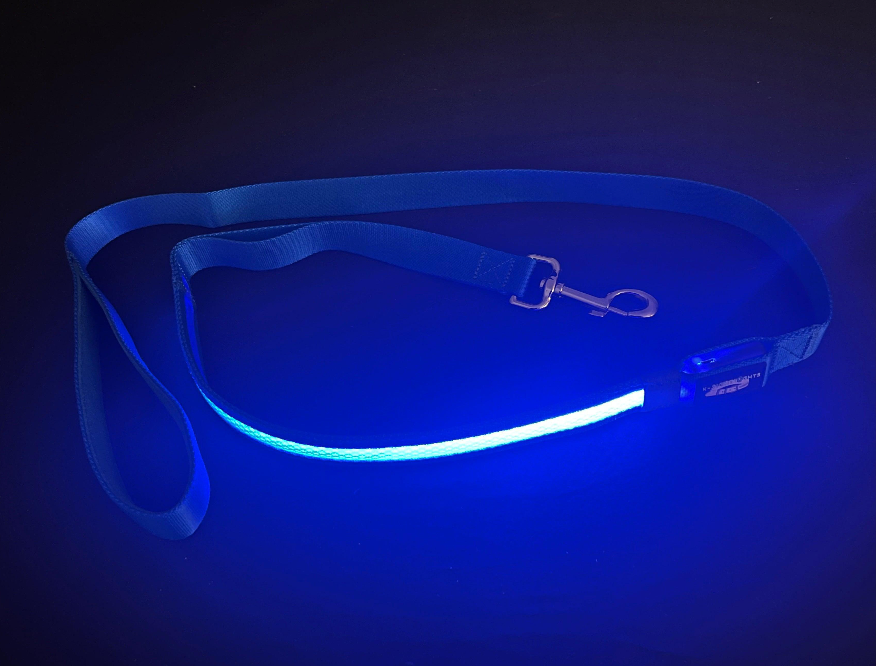 Light Up LED Dog Leash: Blue