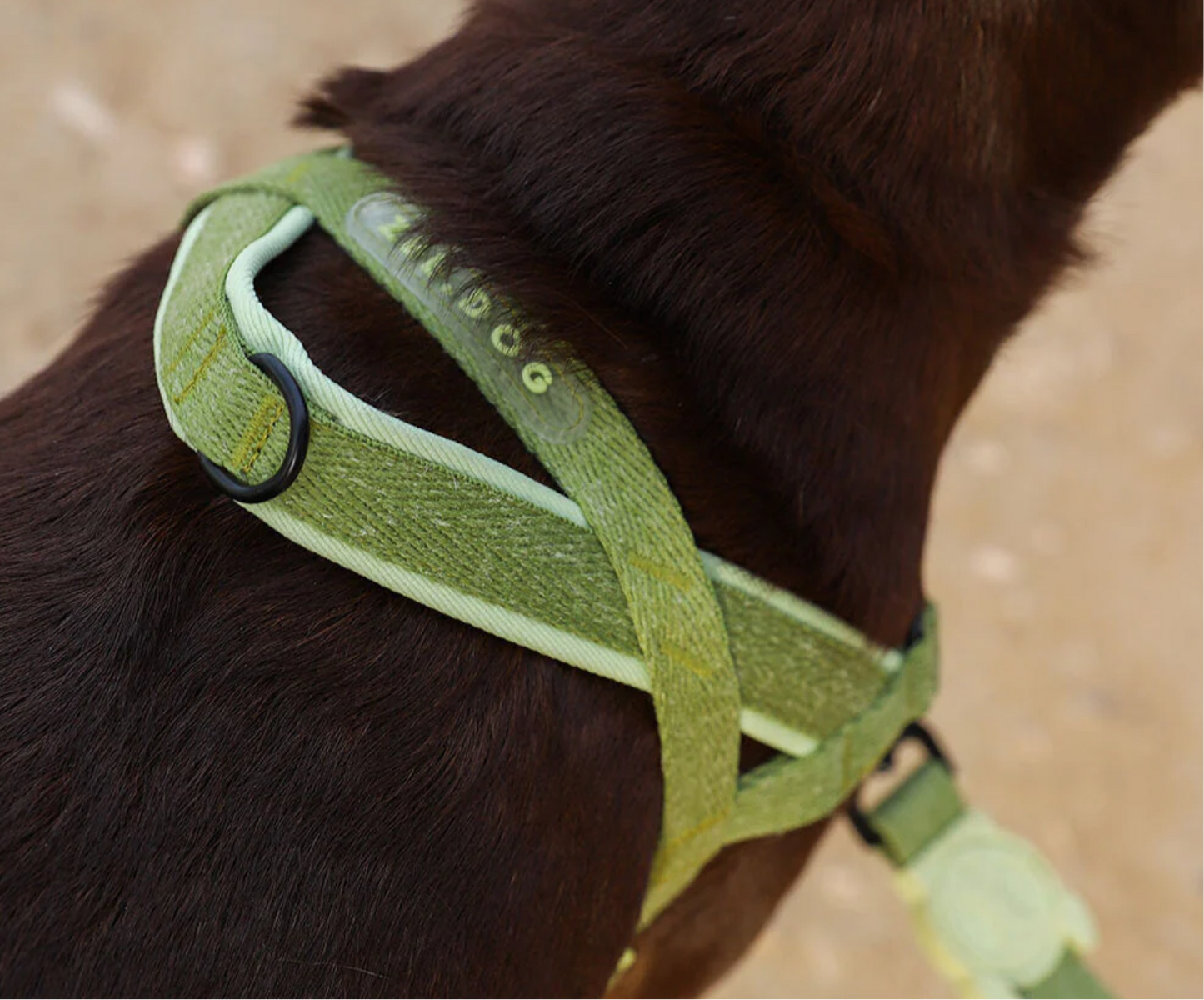 Moss | SofterWalk Harness