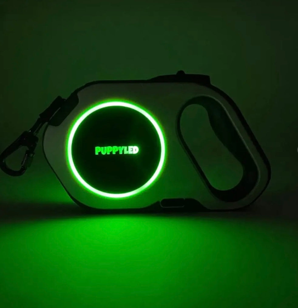 LED Retractable Dog Leash