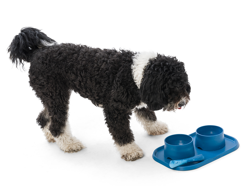 Drifty® Dog Toy for Chew, and Fetch: Small / Hibiscus