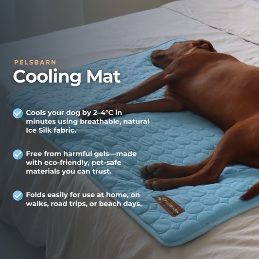 Cooling Mat - Pelsbarn 🐾: Light Blue / XL