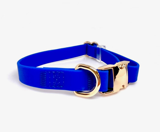 Lucky Dog Royal Blue Collar