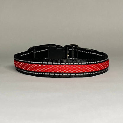 LED Dog Collar: Red