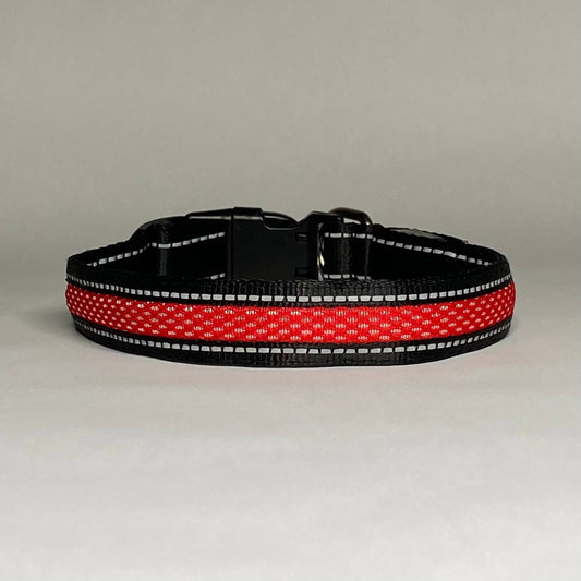 LED Dog Collar: Red