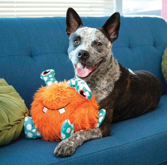 KONG® Whipples Dog Plush Toy XL