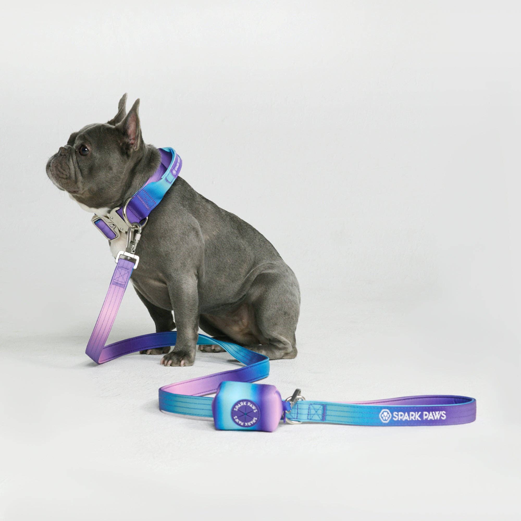 Comfort Control Dog Leash - 90s Retro: OS