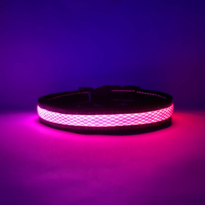 LED Dog Collar: Green