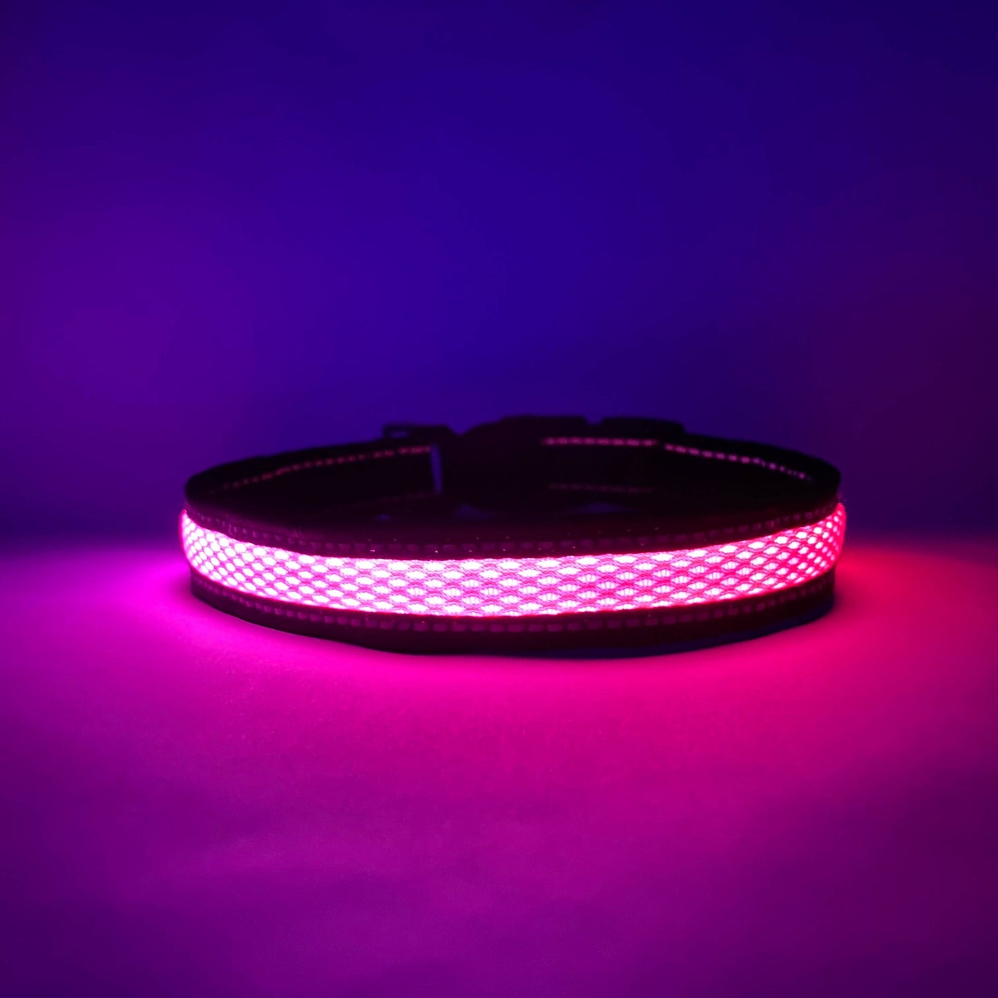 LED Dog Collar: Blue / Small