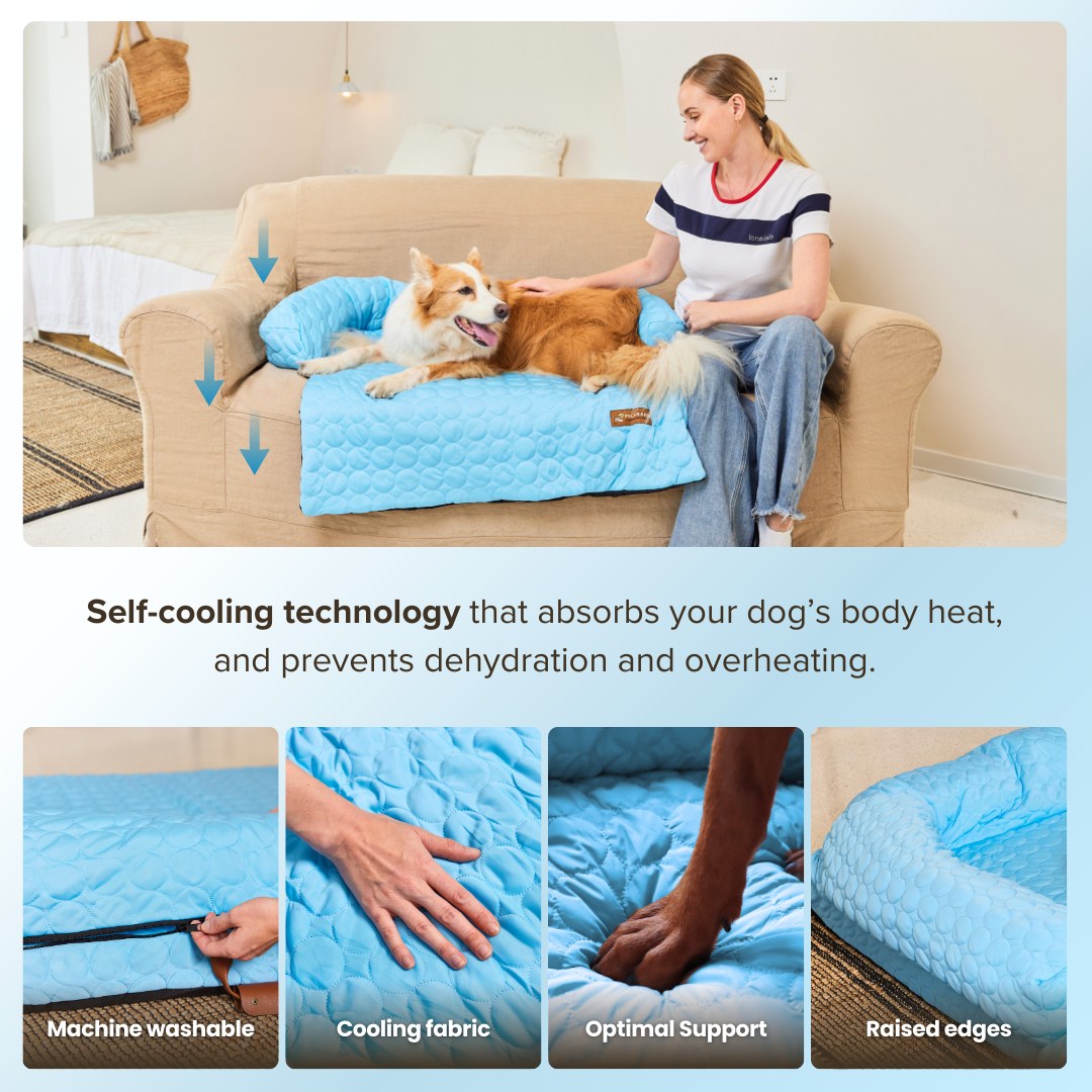 Cooling Dog Bed Heat Relief - Pelsbarn : Light Blue / M/L