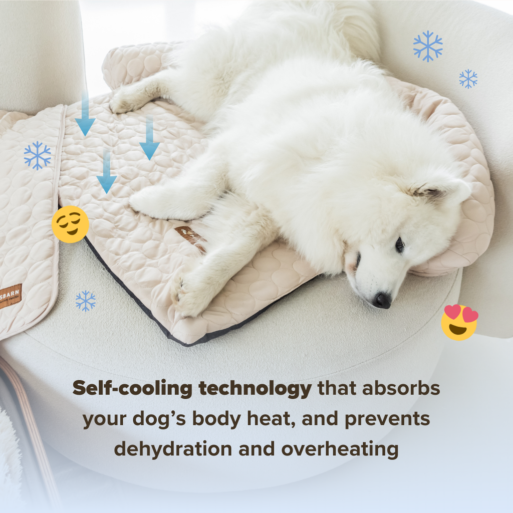 Cooling Dog Bed Heat Relief - Pelsbarn : Beige / M/L