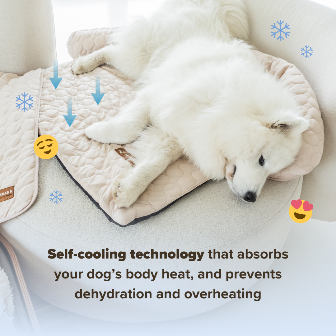 Cooling Dog Bed Heat Relief - Pelsbarn : Light Blue / M/L