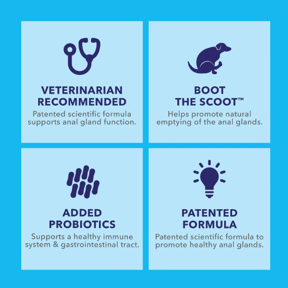 Glandex Anal Gland Support Soft Chews Peanut Butter 60ct