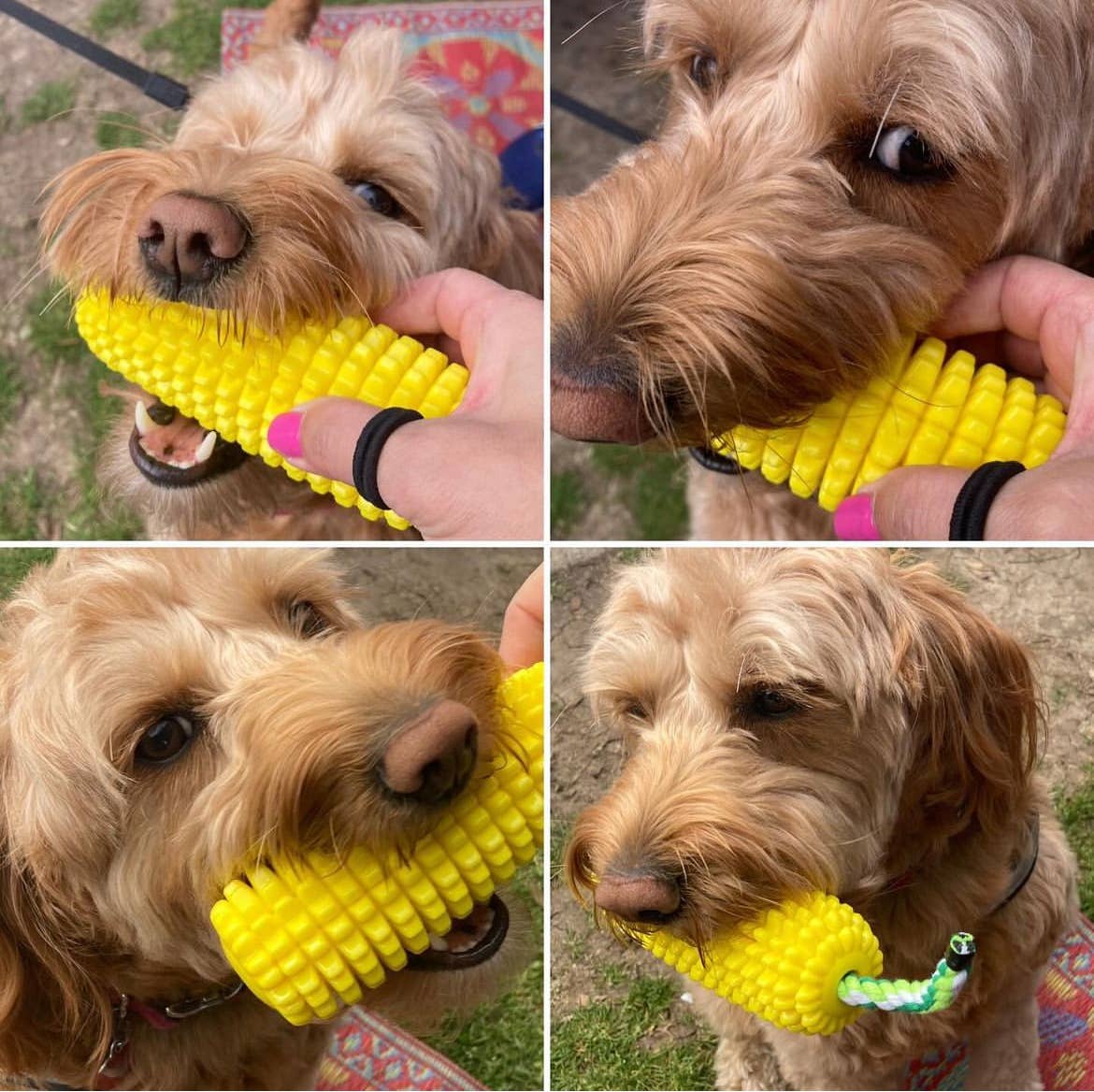 Corn-Shaped Dental Chew Toy: Yellow