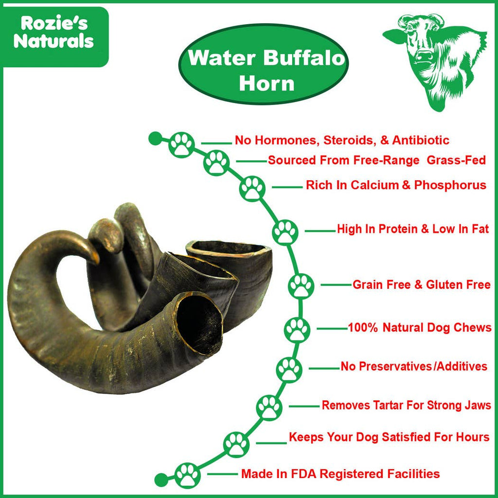 WATER BUFFALO HORN- 100% Natural, Dental Dog Chews & Treat : LARGE-7oz