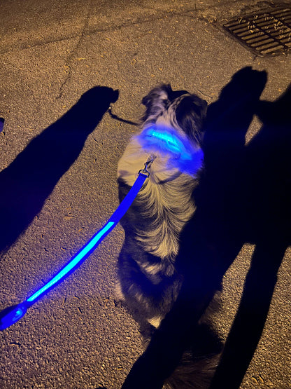 Light Up LED Dog Leash: Green