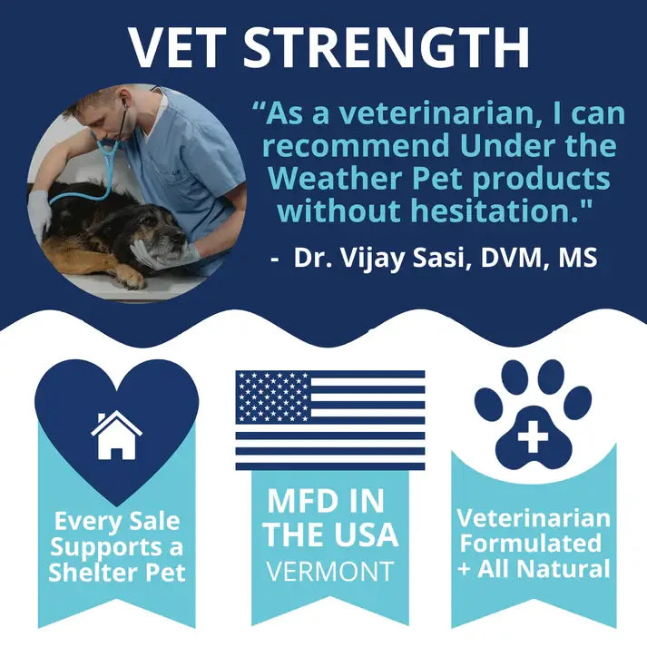 Under the Weather Probiotic Soft Chew 60ct