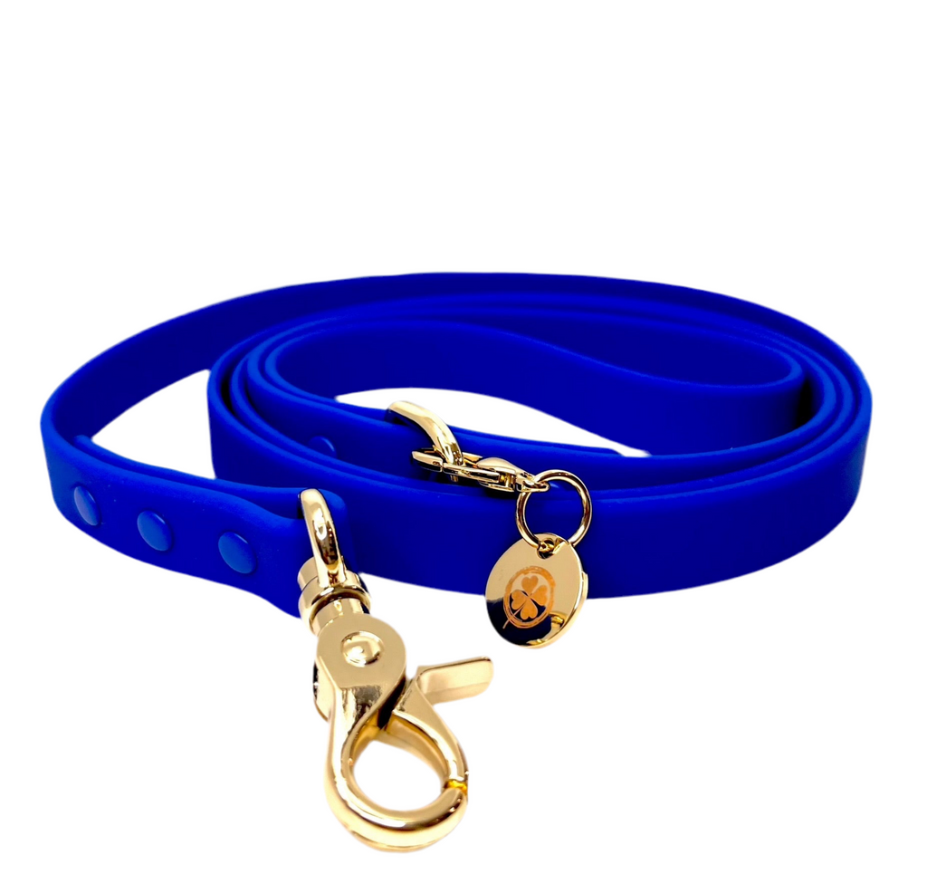 Royal Blue Dog Leash