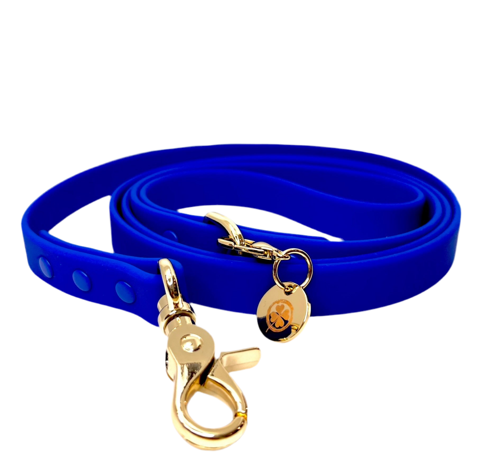 Royal Blue Dog Leash