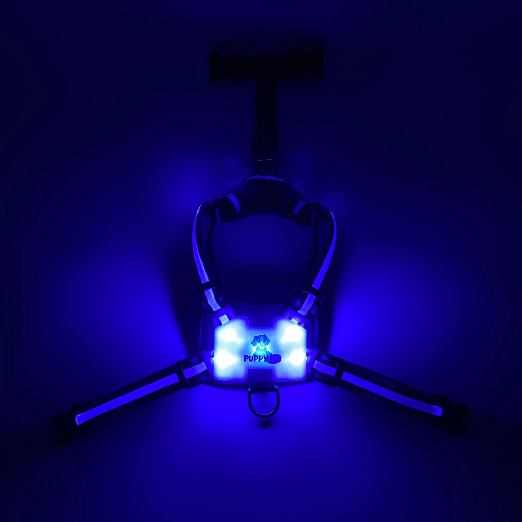 LED Dog Harness