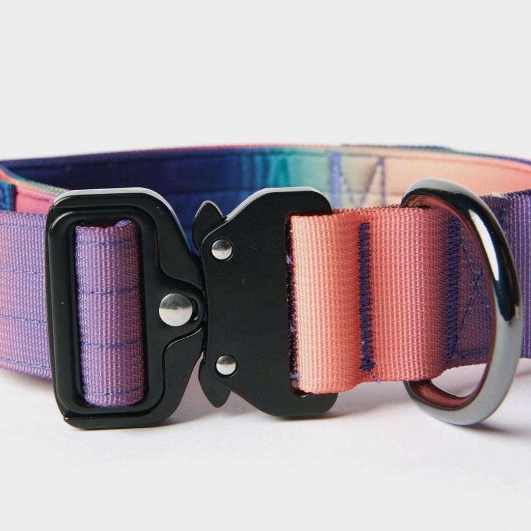 Tactical Dog Collar - Kaleidoscope (1.5"/4cm): S