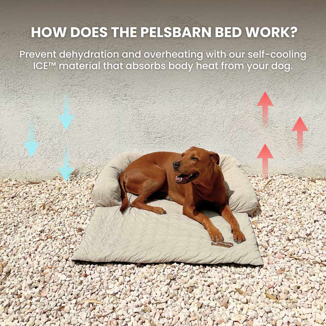 Cooling Dog Bed Heat Relief - Pelsbarn : Light Blue / M/L