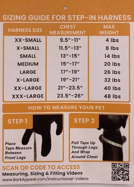 Mesh Step Harness: Raspberry