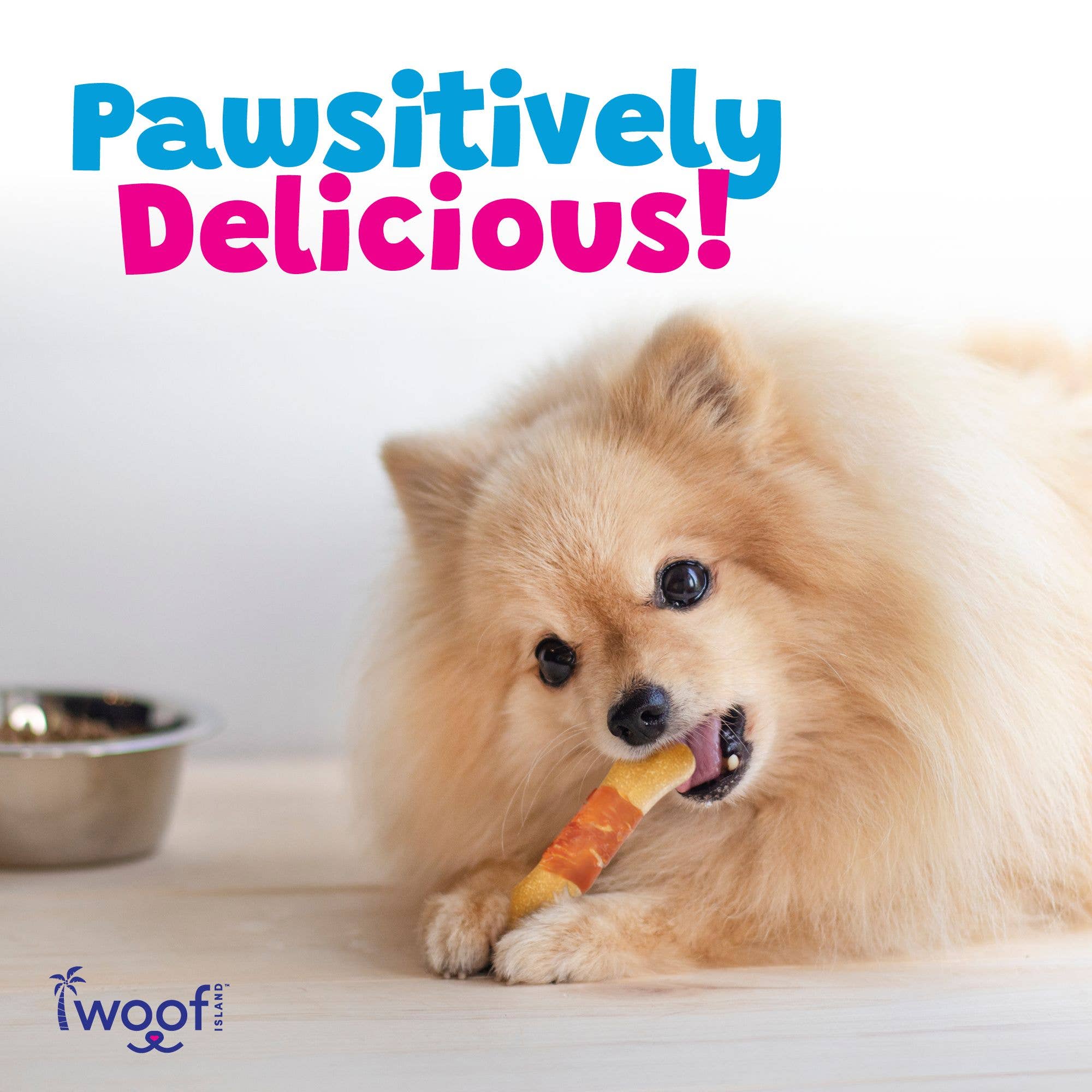 Coconut Dog Bones Premium Treats (with Chicken) 2 Count: Single Bag