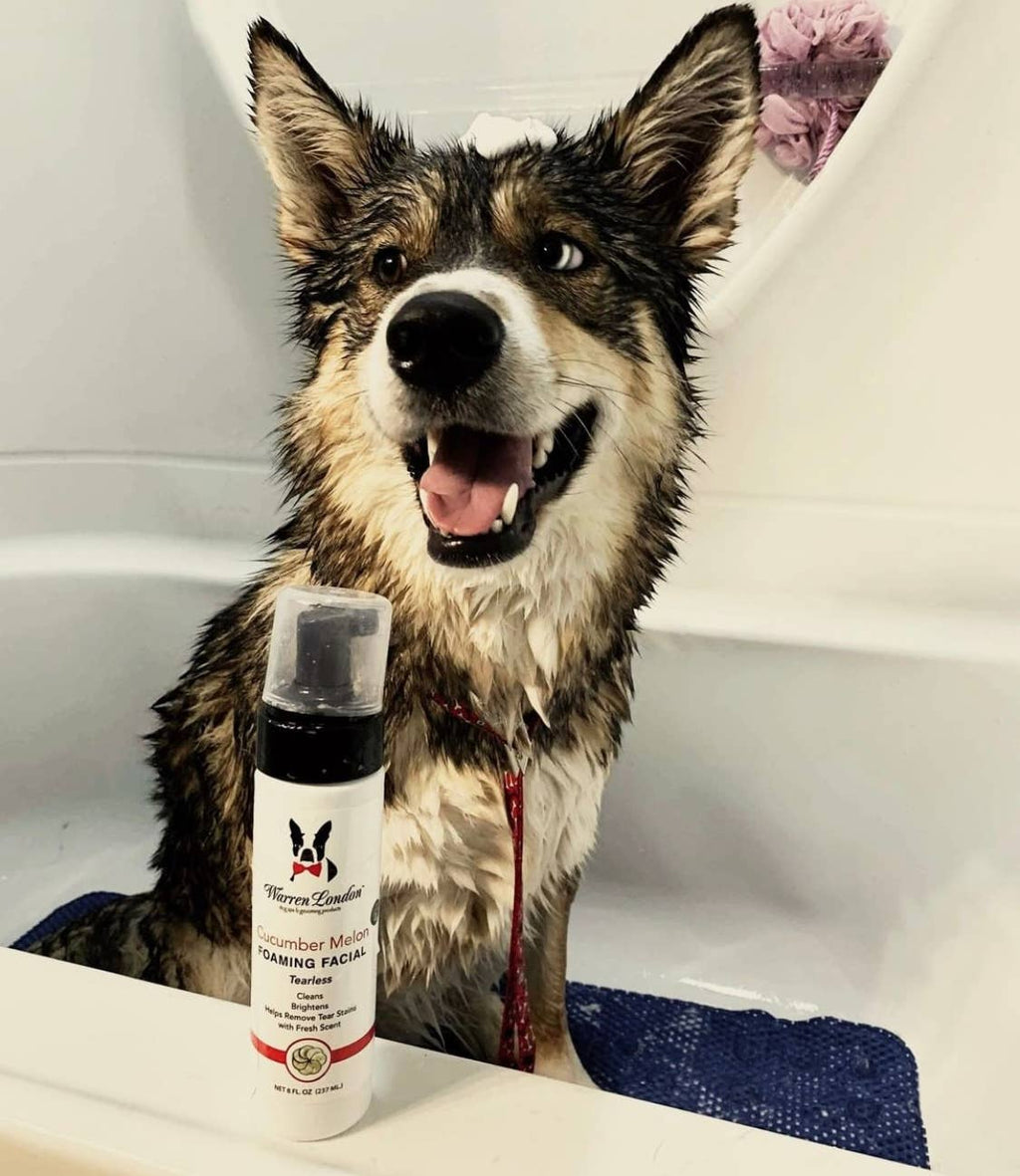 Tearless  Shampoo for Dog Faces - Cucumber Melon - 2 Sizes: 8oz