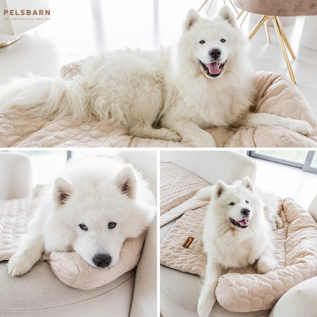 Cooling Dog Bed Heat Relief - Pelsbarn : Beige / M/L