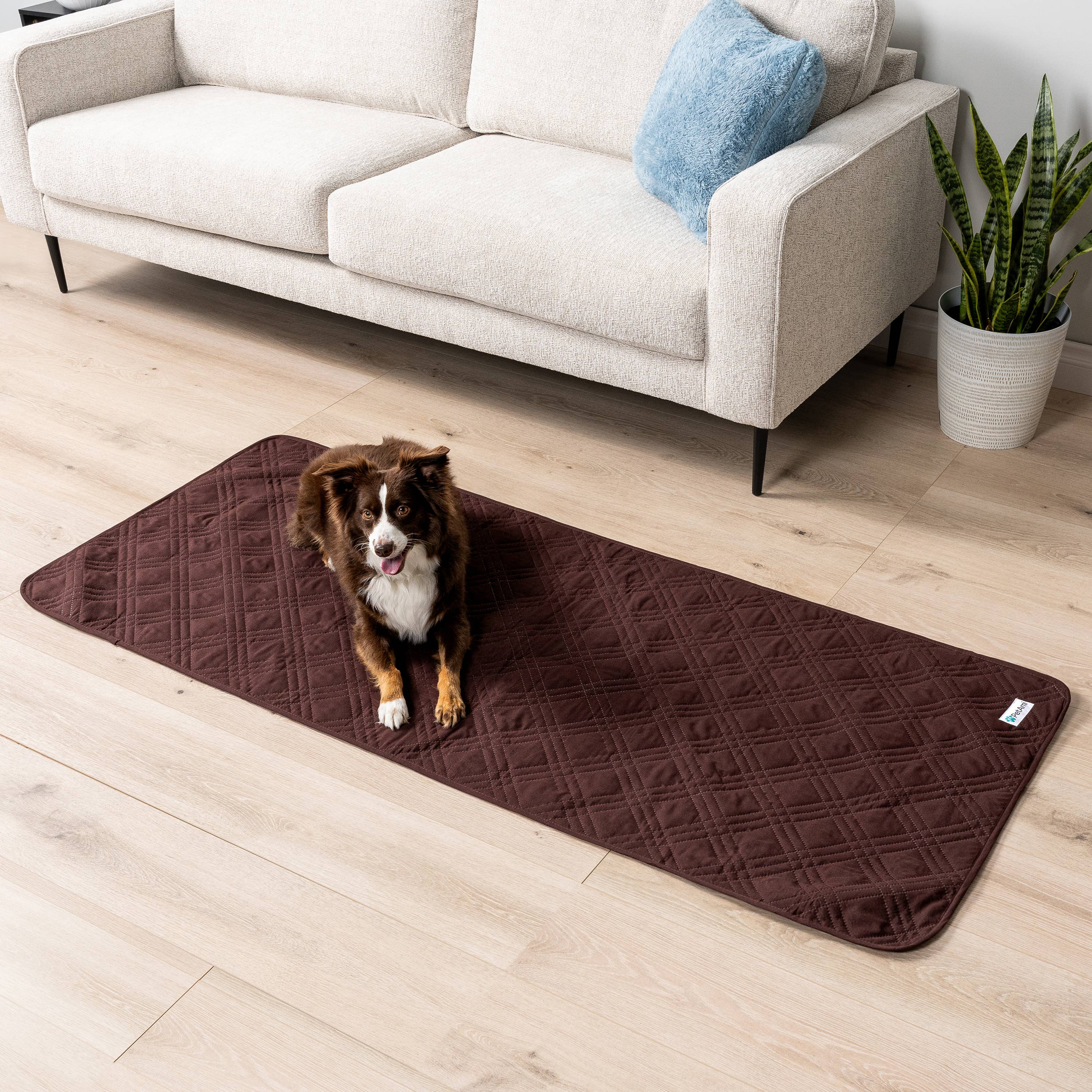 Waterproof Pet Furniture Cover Couch Protector: Olive Green / Large - 68" x 82"
