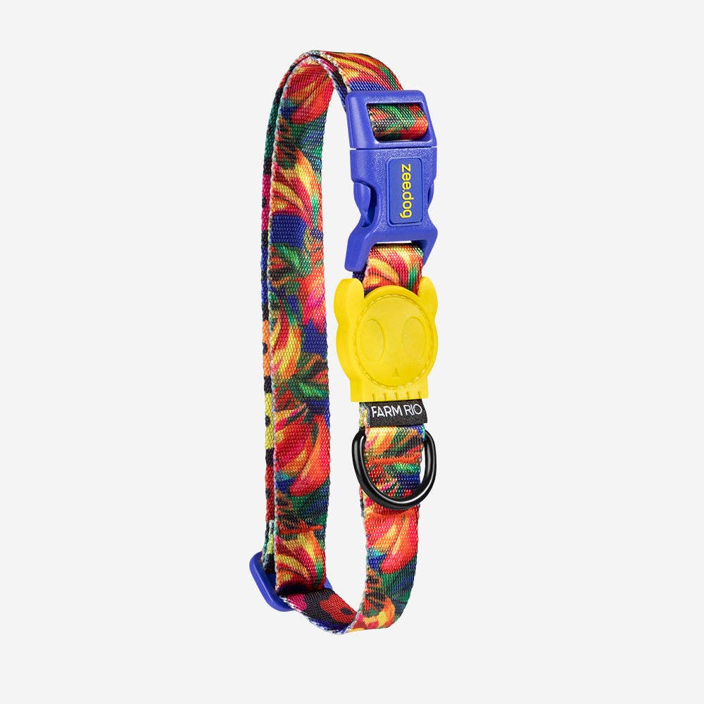 Samba | Collar: Medium