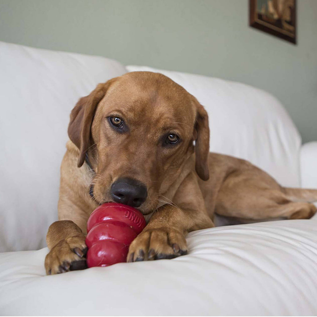 KONG® Snacks® Bacon & Cheese Large