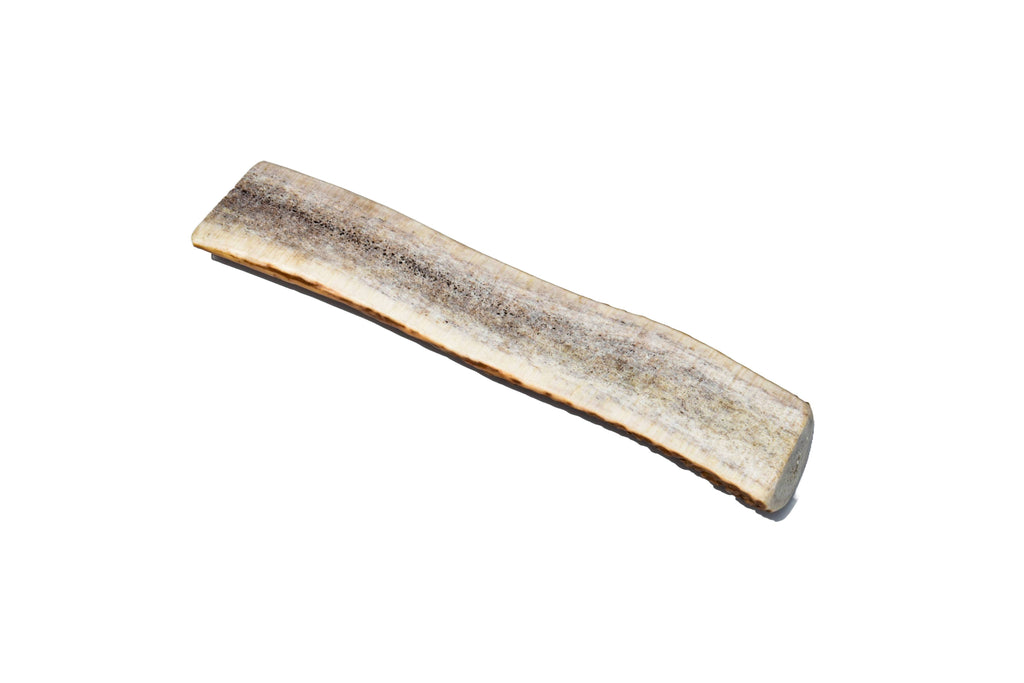 Elk Antler (Large) - Split: Single
