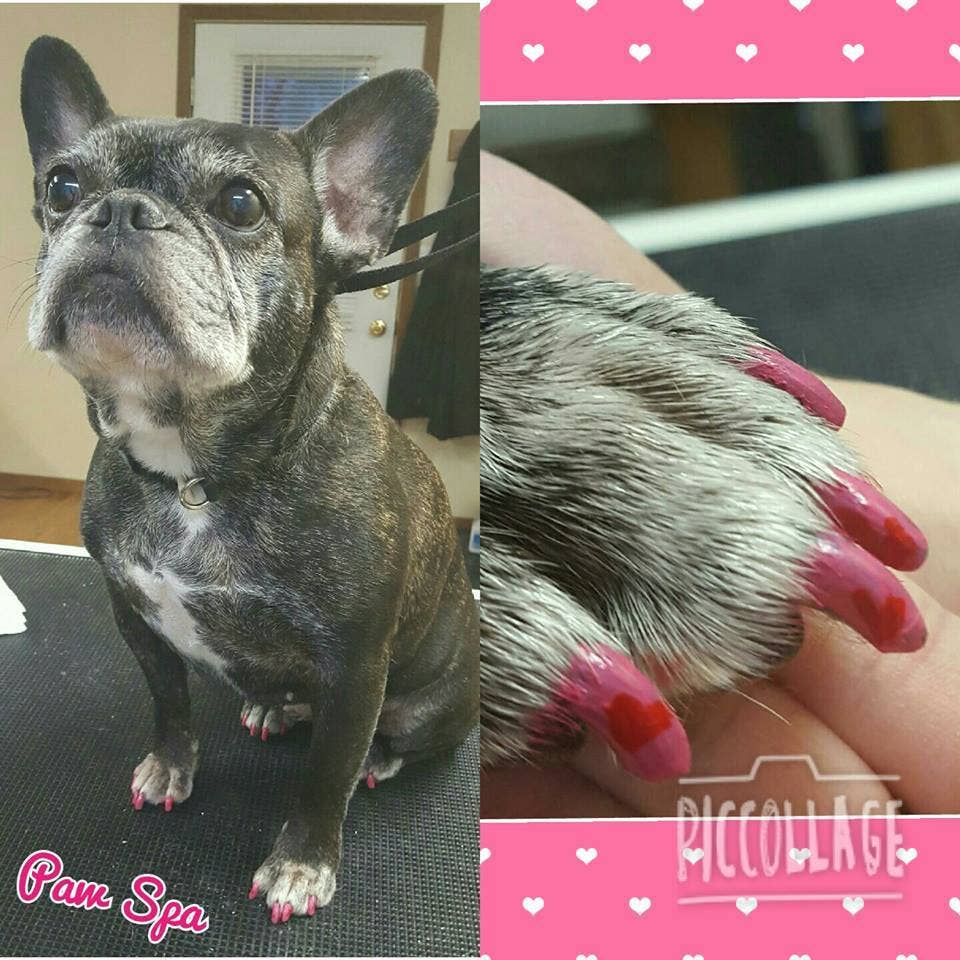 Nail Polish Pens - Basic Colors