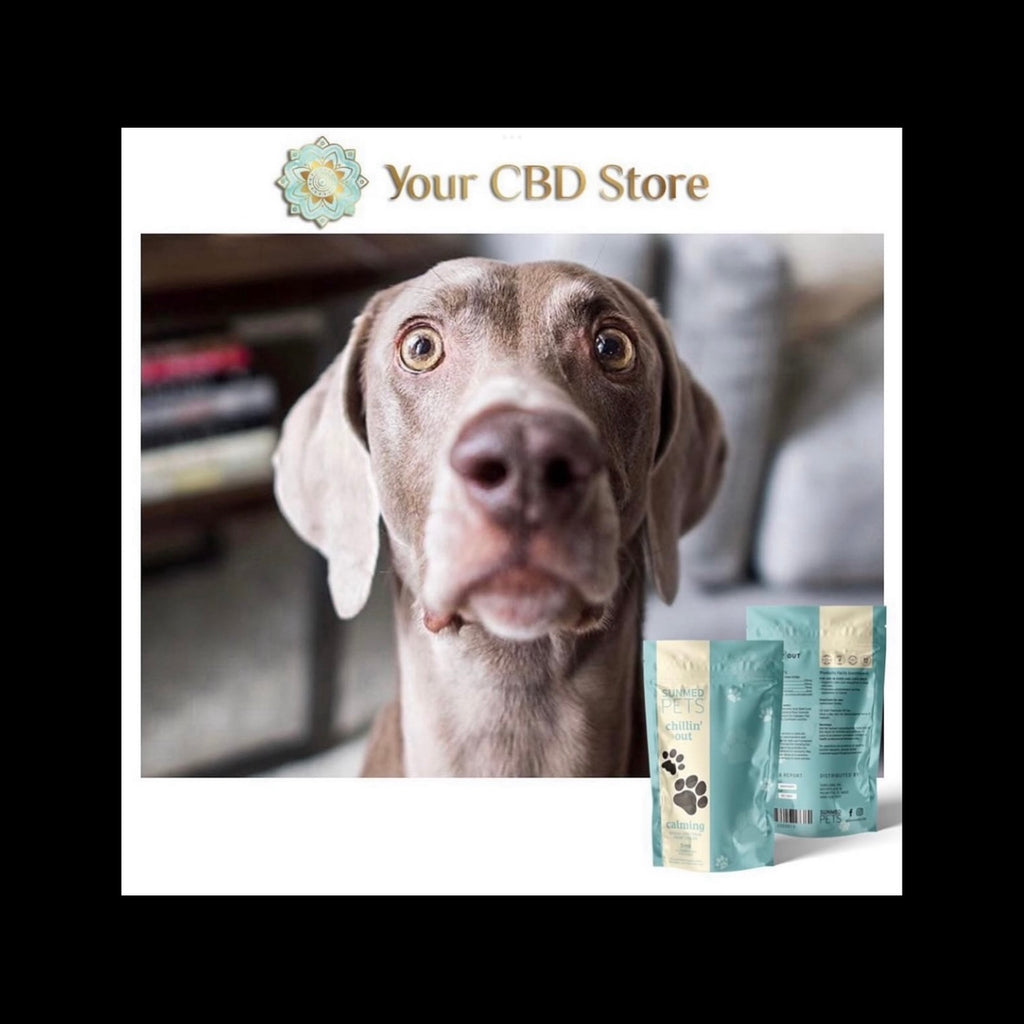 Sunmed Chillin CBD Chews