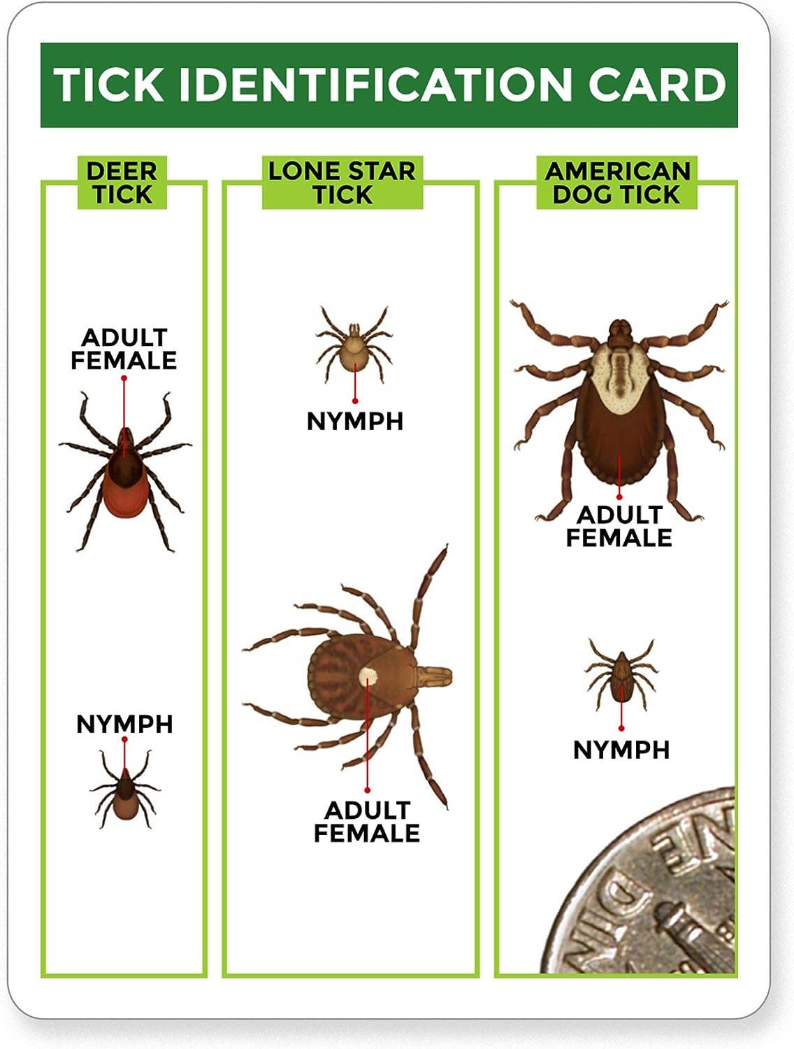 TickCheck Tick Remover Value 3 Pack