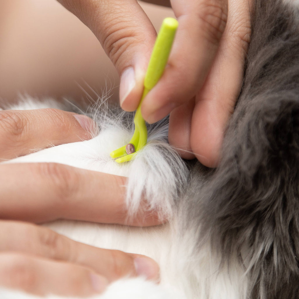 TickCheck Tick Remover Value 3 Pack