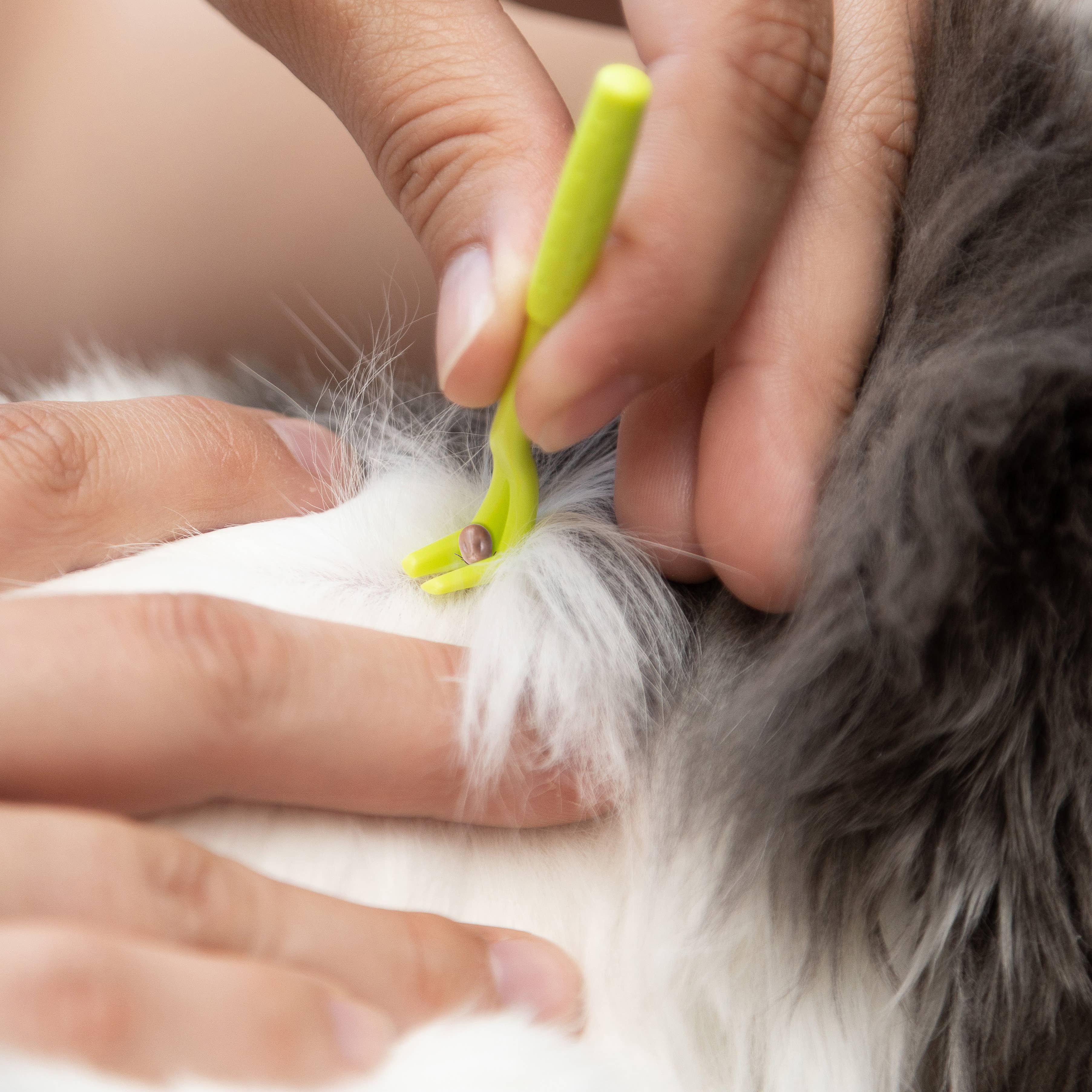 TickCheck Tick Remover Value 3 Pack